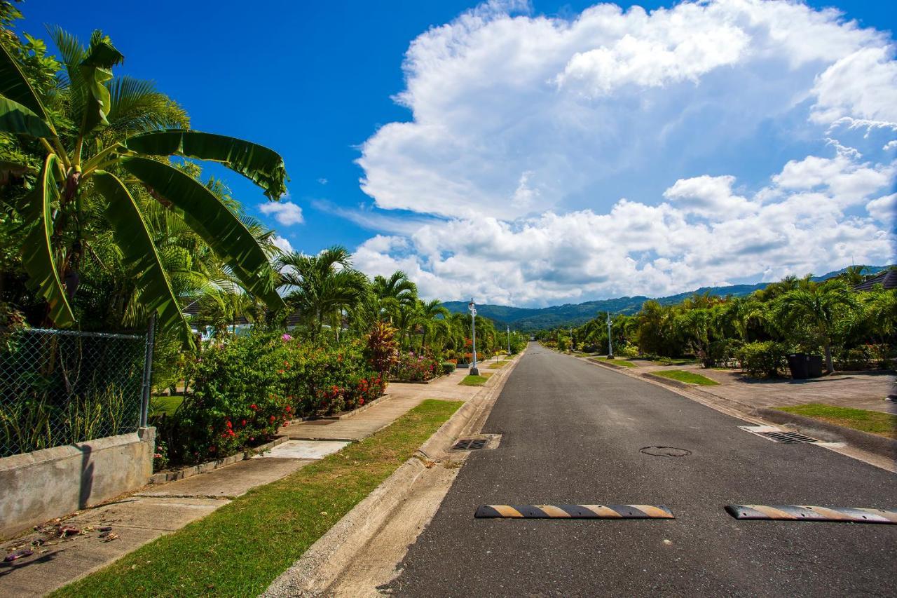 Nature'S Choice Home Richmond Palms, Jamaica Exterior foto