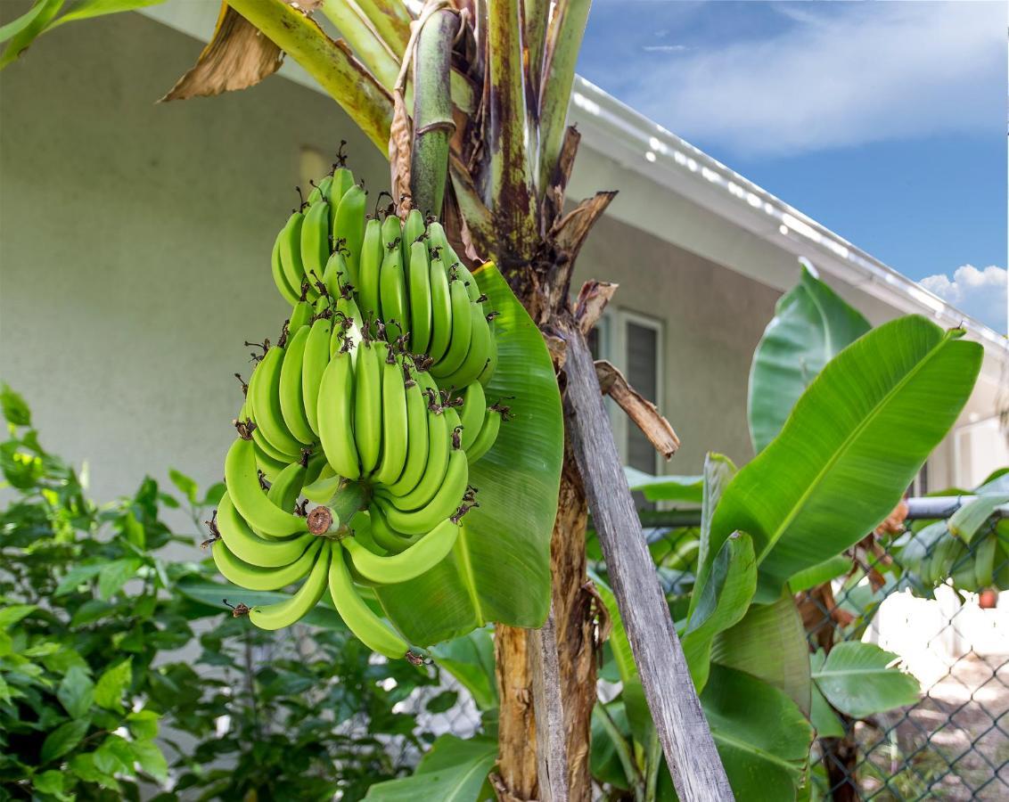 Nature'S Choice Home Richmond Palms, Jamaica Exterior foto